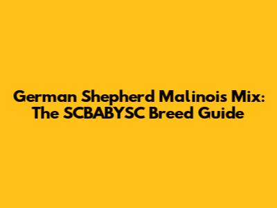 German Shepherd Malinois Mix: The SCBABYSC Breed Guide