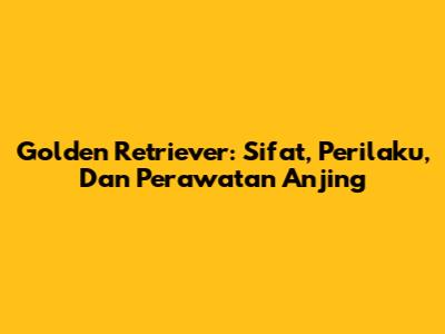Golden Retriever: Sifat, Perilaku, Dan Perawatan Anjing
