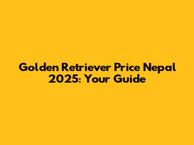 Golden Retriever Price Nepal 2025: Your Guide
