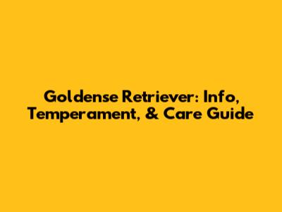 Goldense Retriever: Info, Temperament, & Care Guide
