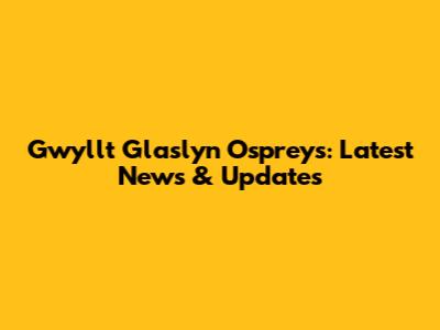 Gwyllt Glaslyn Ospreys: Latest News & Updates