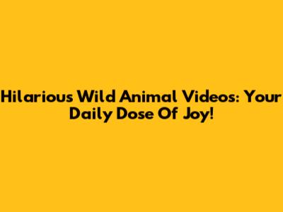 Hilarious Wild Animal Videos: Your Daily Dose Of Joy!