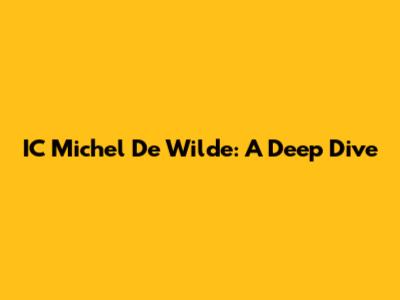 IC Michel De Wilde: A Deep Dive