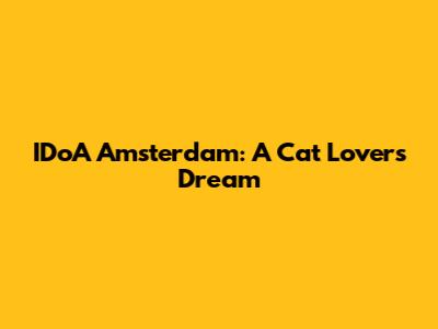 IDoA Amsterdam: A Cat Lover's Dream