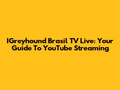 IGreyhound Brasil TV Live: Your Guide To YouTube Streaming