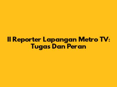 II Reporter Lapangan Metro TV: Tugas Dan Peran