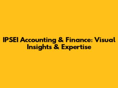 IPSEI Accounting & Finance: Visual Insights & Expertise