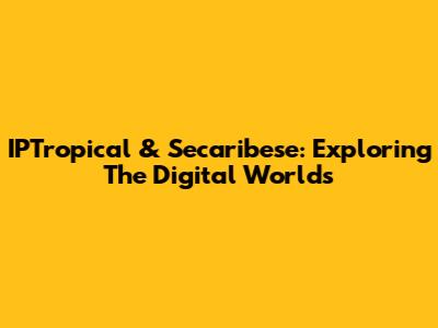 IPTropical & Secaribese: Exploring The Digital Worlds