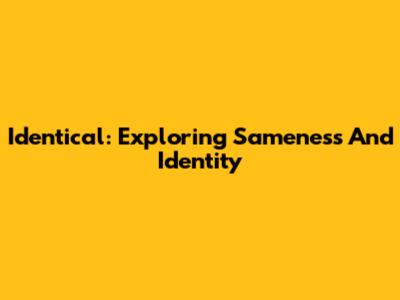 Identical: Exploring Sameness And Identity