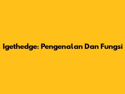 Igethedge: Pengenalan Dan Fungsi