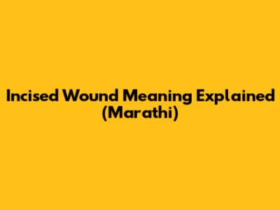 Incised Wound Meaning Explained (Marathi)