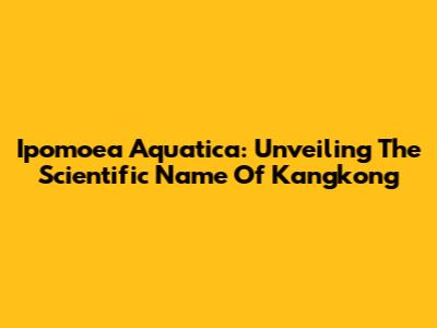 Ipomoea Aquatica: Unveiling The Scientific Name Of Kangkong