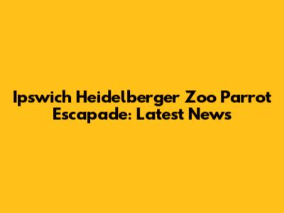 Ipswich Heidelberger Zoo Parrot Escapade: Latest News