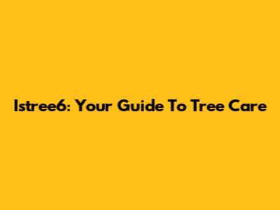 Istree6: Your Guide To Tree Care