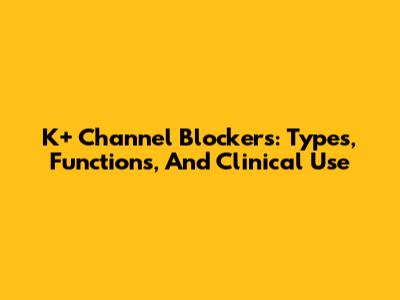 K+ Channel Blockers: Types, Functions, And Clinical Use