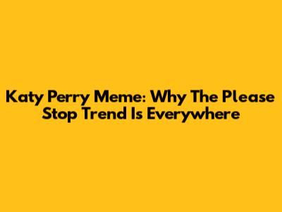 Katy Perry Meme: Why The 'Please Stop' Trend Is Everywhere