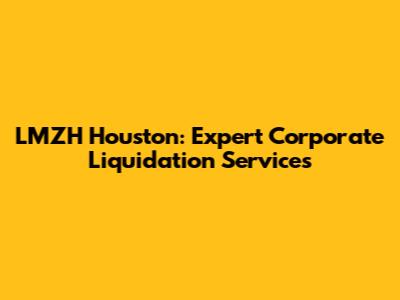 LMZH Houston: Expert Corporate Liquidation Services
