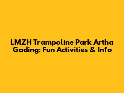 LMZH Trampoline Park Artha Gading: Fun Activities & Info