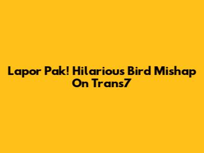 Lapor Pak! Hilarious Bird Mishap On Trans7
