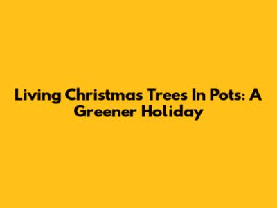 Living Christmas Trees In Pots: A Greener Holiday