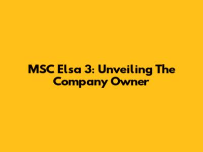 MSC Elsa 3: Unveiling The Company Owner