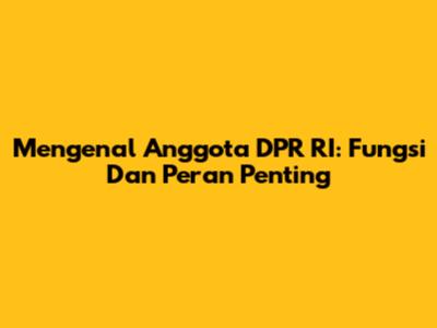 Mengenal Anggota DPR RI: Fungsi Dan Peran Penting