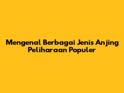Mengenal Berbagai Jenis Anjing Peliharaan Populer