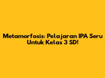 Metamorfosis: Pelajaran IPA Seru Untuk Kelas 3 SD!