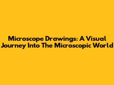 Microscope Drawings: A Visual Journey Into The Microscopic World