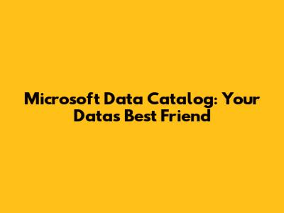 Microsoft Data Catalog: Your Data's Best Friend