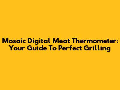Mosaic Digital Meat Thermometer: Your Guide To Perfect Grilling