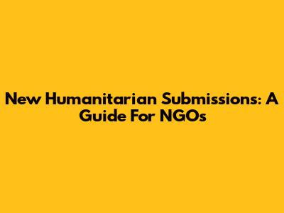 New Humanitarian Submissions: A Guide For NGOs