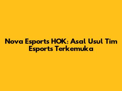 Nova Esports HOK: Asal Usul Tim Esports Terkemuka