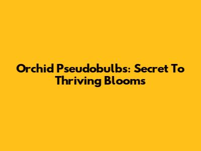 Orchid Pseudobulbs: Secret To Thriving Blooms