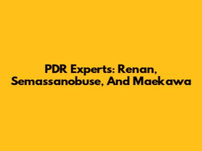 PDR Experts: Renan, Semassanobuse, And Maekawa