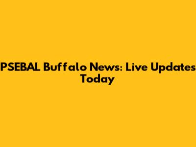 PSEBAL Buffalo News: Live Updates Today