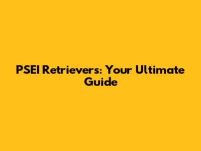 PSEI Retrievers: Your Ultimate Guide