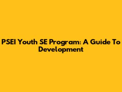 PSEI Youth SE Program: A Guide To Development