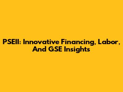 PSEII: Innovative Financing, Labor, And GSE Insights