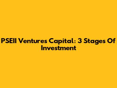 PSEII Ventures Capital: 3 Stages Of Investment