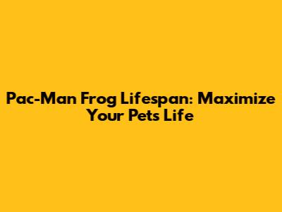 Pac-Man Frog Lifespan: Maximize Your Pet's Life