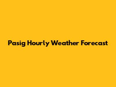 Pasig Hourly Weather Forecast