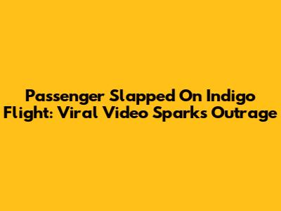 Passenger Slapped On Indigo Flight: Viral Video Sparks Outrage