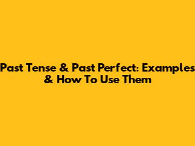 Past Tense & Past Perfect: Examples & How To Use Them