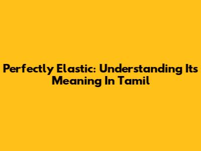 Perfectly Elastic: Understanding Its Meaning In Tamil
