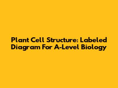 Plant Cell Structure: Labeled Diagram For A-Level Biology