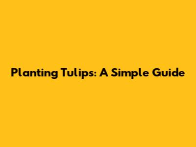 Planting Tulips: A Simple Guide