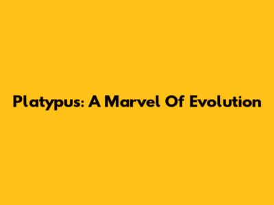 Platypus: A Marvel Of Evolution