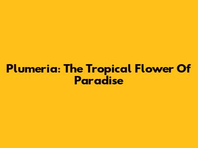 Plumeria: The Tropical Flower Of Paradise