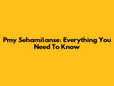 Pmy Sehamilanse: Everything You Need To Know